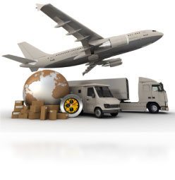 Nuestros Servicios